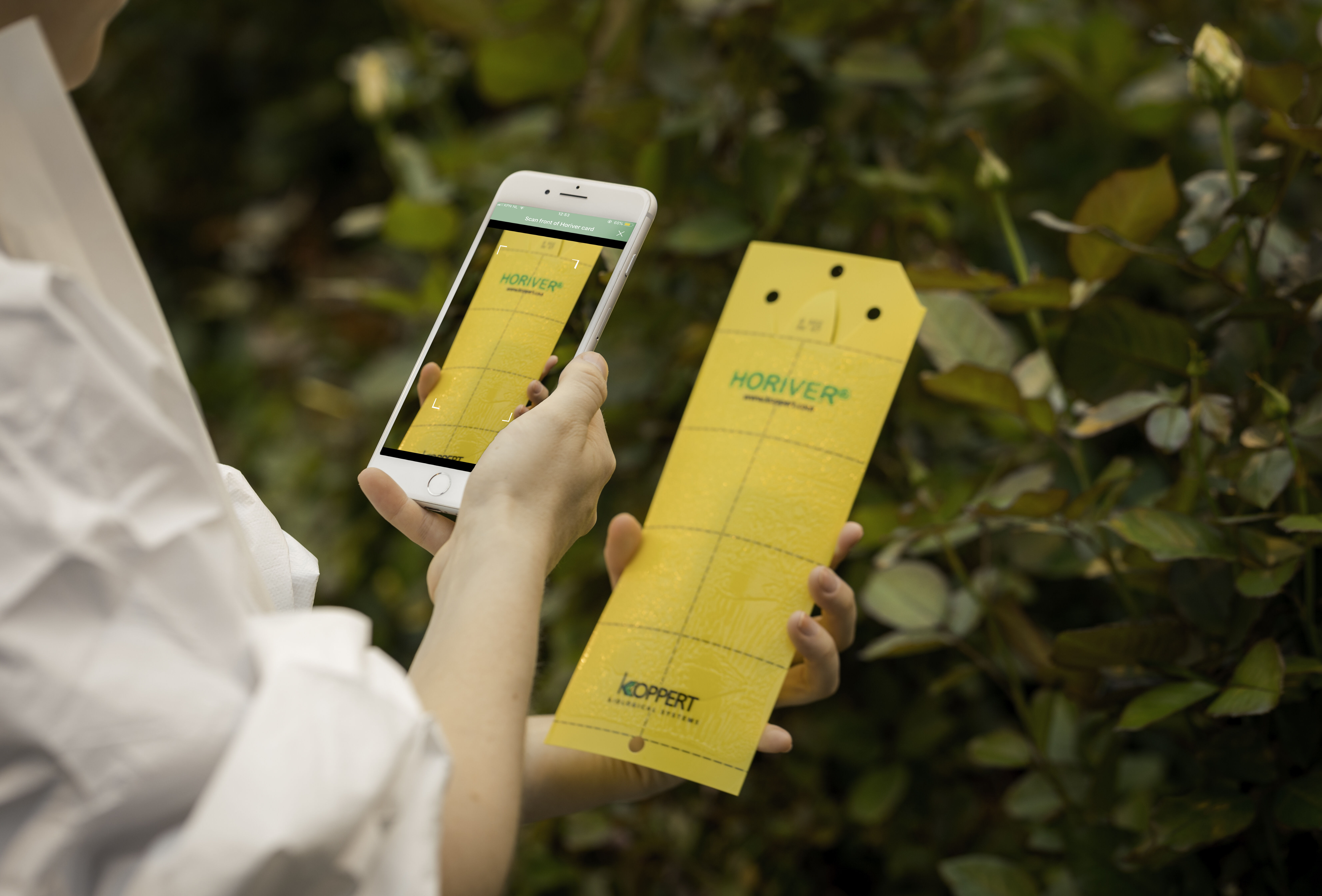 Koppert is investing in smarter scouting