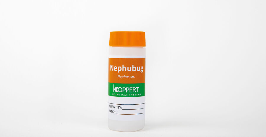 Nephubug_Koppert_Biological_Systems_01.jpg