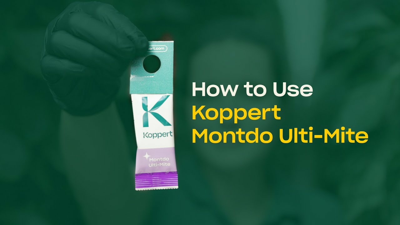 How To Use Montdo Ulti-Mite - Predatory Mites for Thrips & Whitefly Control