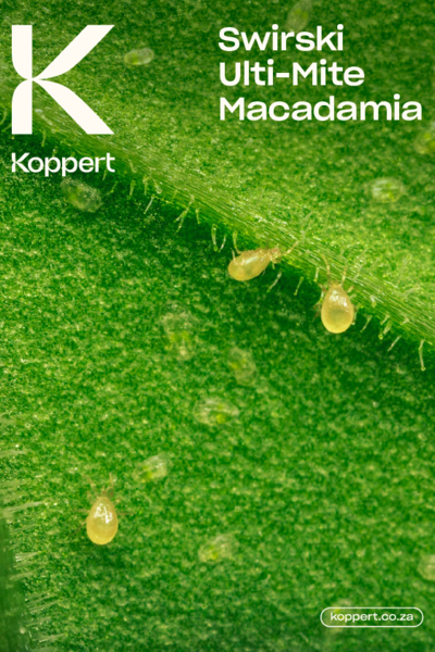 Macadamia Swirski Ultimite leaflet