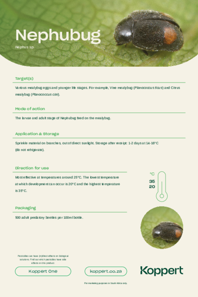 Nephubug Leaflet
