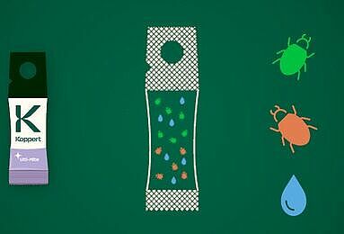 Ulti-Mite: Revolutionizing biocontrol with innovative predatory mite sachets