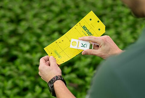 Crop Monitoring and Scouting