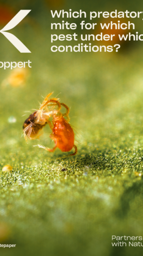 Predatory mites whitepaper