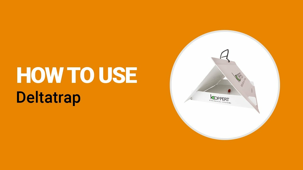 How to use the Deltatrap from Koppert