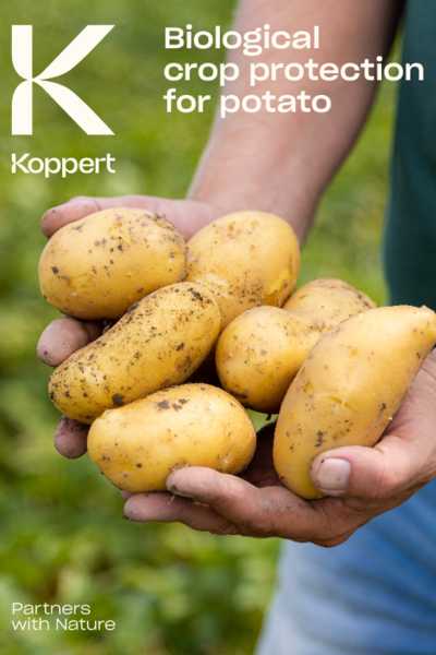 Potato crop brochure