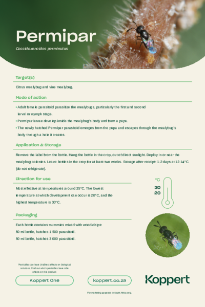 Permipar Leaflet