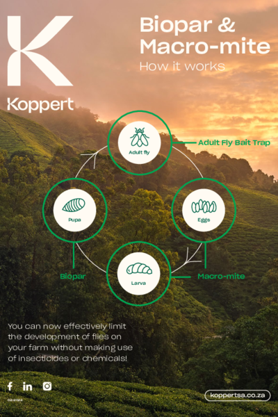 Download fly products lifecycle
