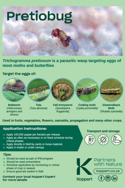 Pretiobug Leaflet