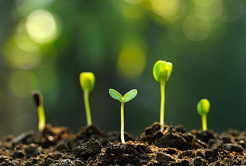 The How and Why of IPM
