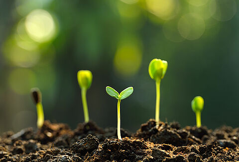 The How and Why of IPM