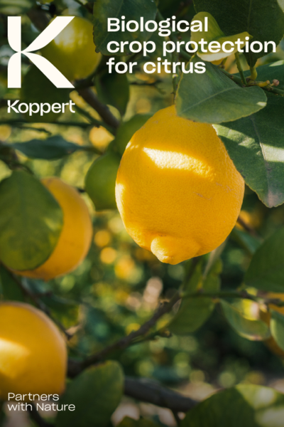 Citrus crop brochure