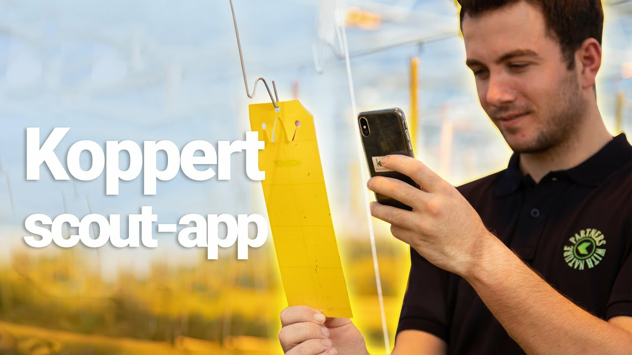 The Koppert scout-app