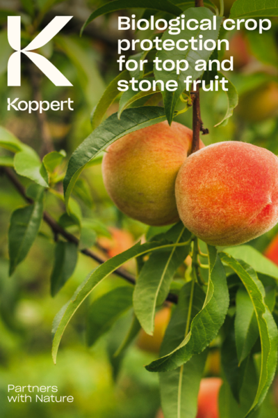 Top and stone fruit crop brochure
