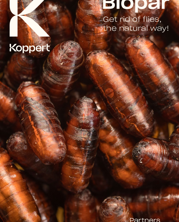 Download fly products leaflet