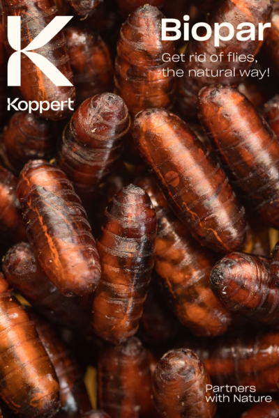 Download fly products leaflet
