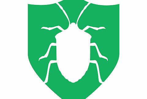 Breaking ground in SA for the macrobial control of stinkbug done by parasitic wasps