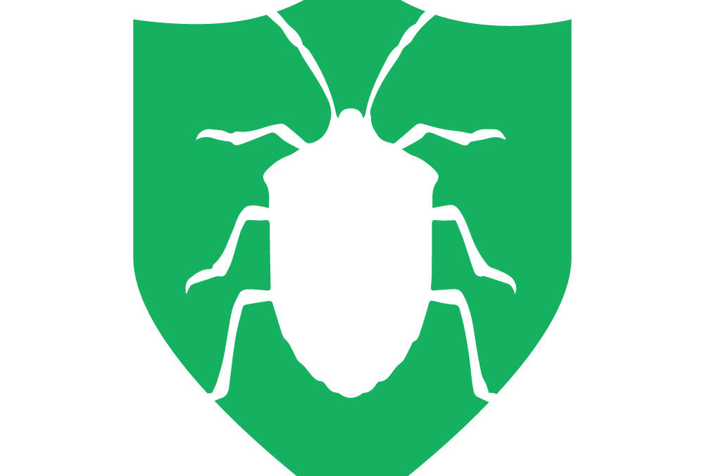 Breaking ground in SA for the macrobial control of stinkbug done by parasitic wasps