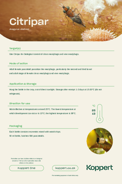 Citripar Leaflet