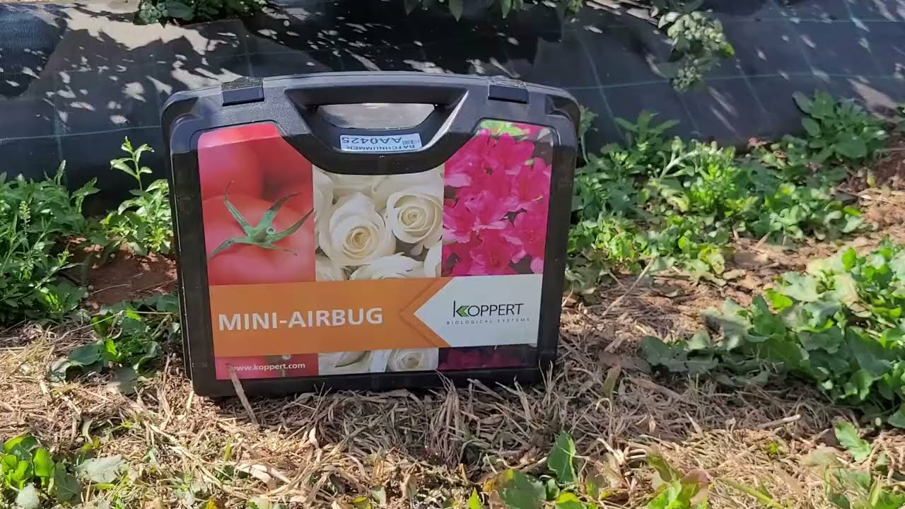 Hoe om die Koppert Mini-Airbug te gebruik (How to use the Koppert Mini-Airbug)