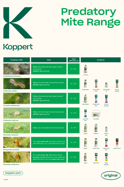 Predatory Mites Poster