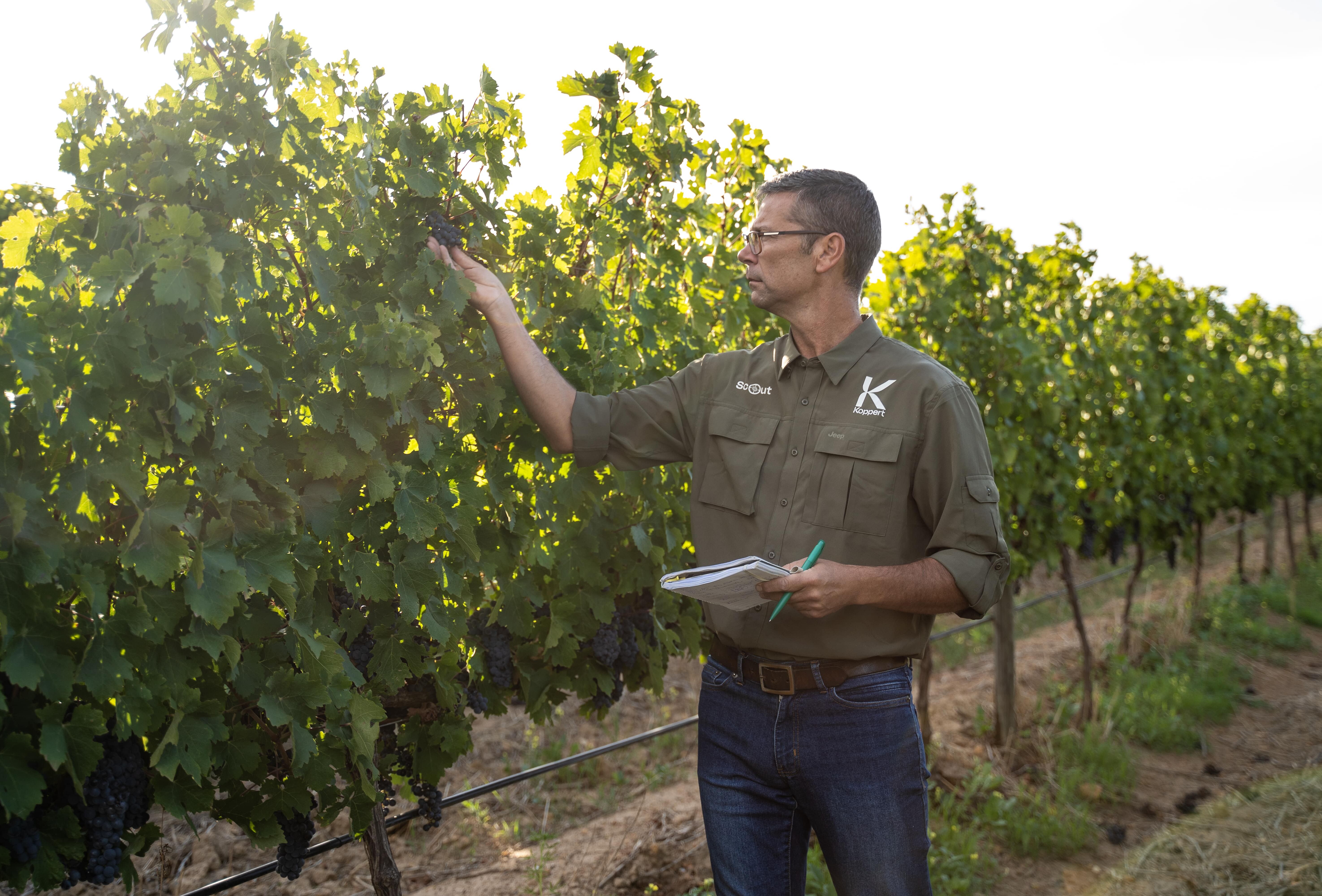 CeraSulfur – jou nuutste biologiese wapen!